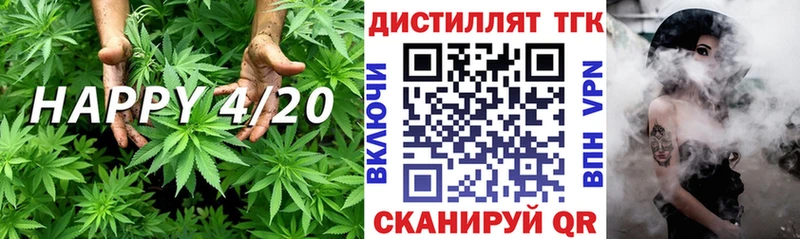 ссылка на мегу как зайти  где можно купить наркотик  Райчихинск  ТГК THC oil 