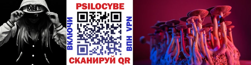 Галлюциногенные грибы Cubensis  Райчихинск 